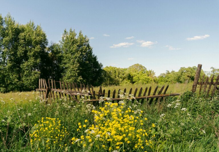 Cottagecore AI Photo Prompts: 12 Aesthetic Ideas
