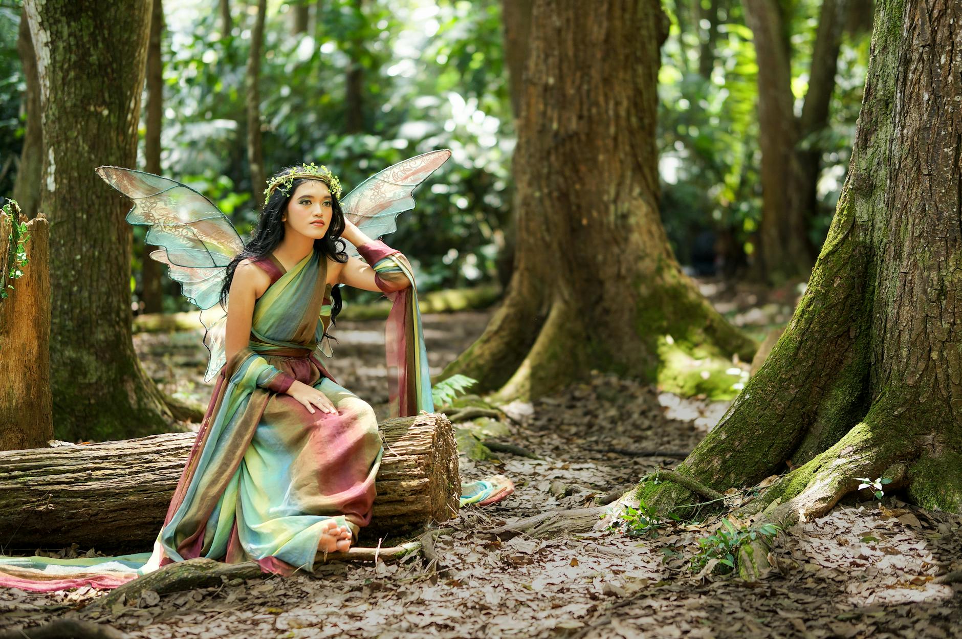 A young woman dressed as a fairy with wings sits on a log in a lush, green forest setting. -- pijushsaha.com