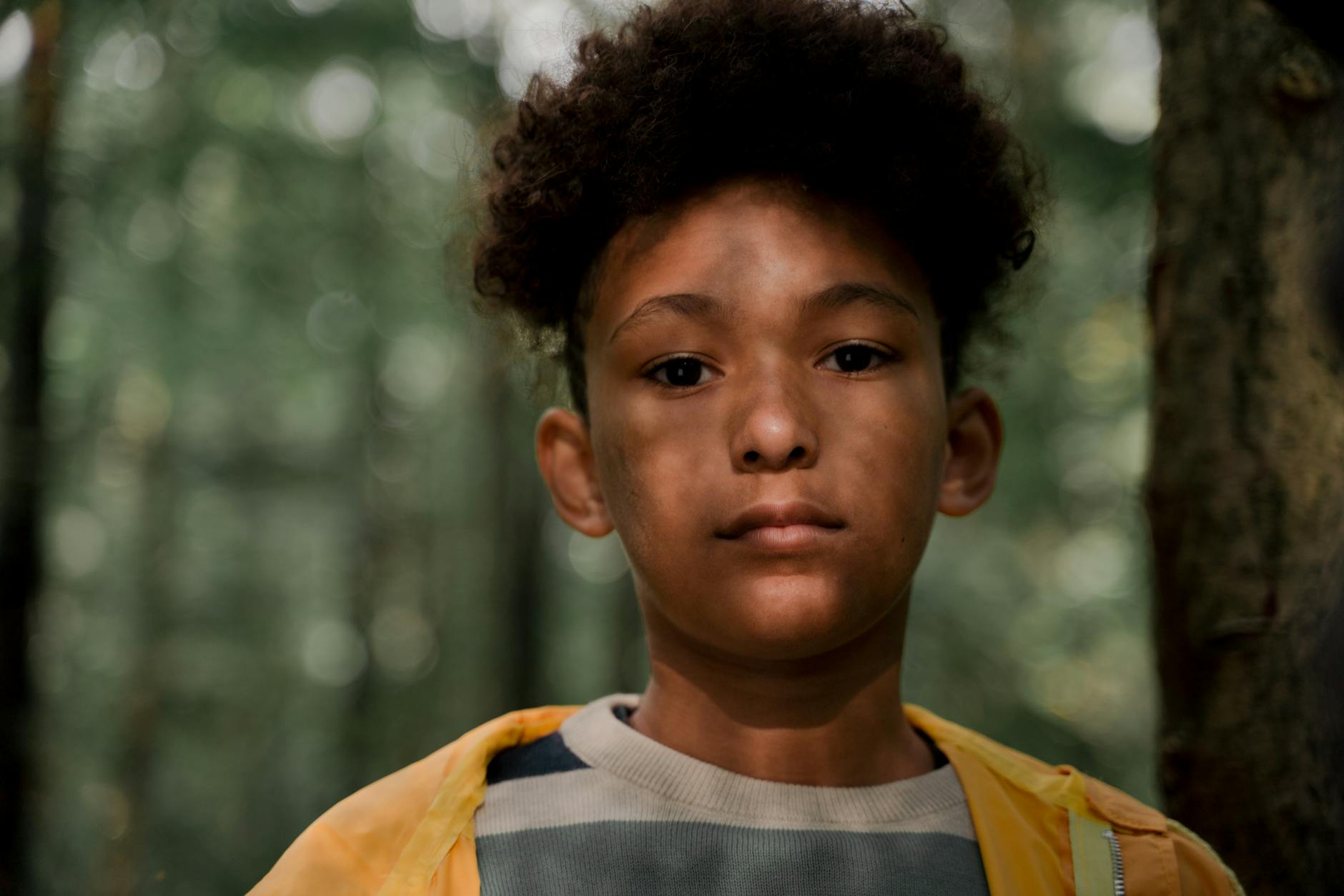 Portrait of a young boy with curly hair, standing in a sunlit forest, evoking a sense of solitude and contemplation. -- pijushsaha.com