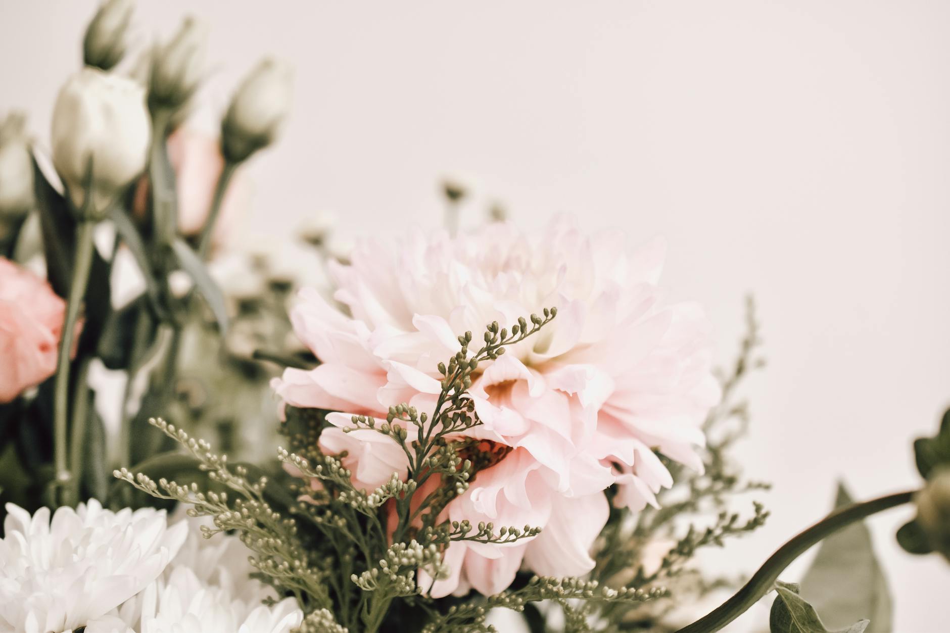 A delicate pastel floral bouquet with soft pink and white flowers, captured in a close-up shot. -- pijushsaha.com