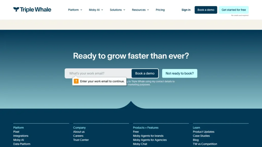 Triple Whale homepage screenshot