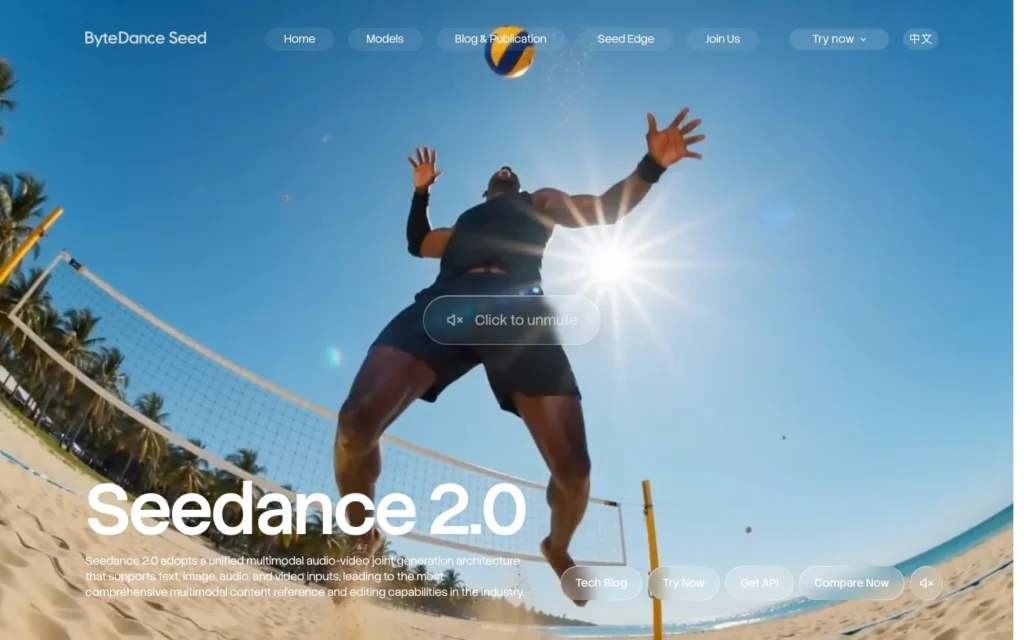 Seedance homepage screenshot