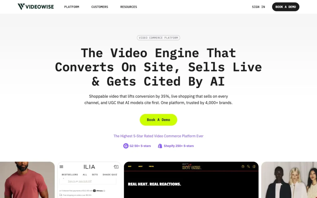 Videowise homepage screenshot